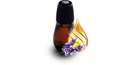 Air Wick® Essential Mist